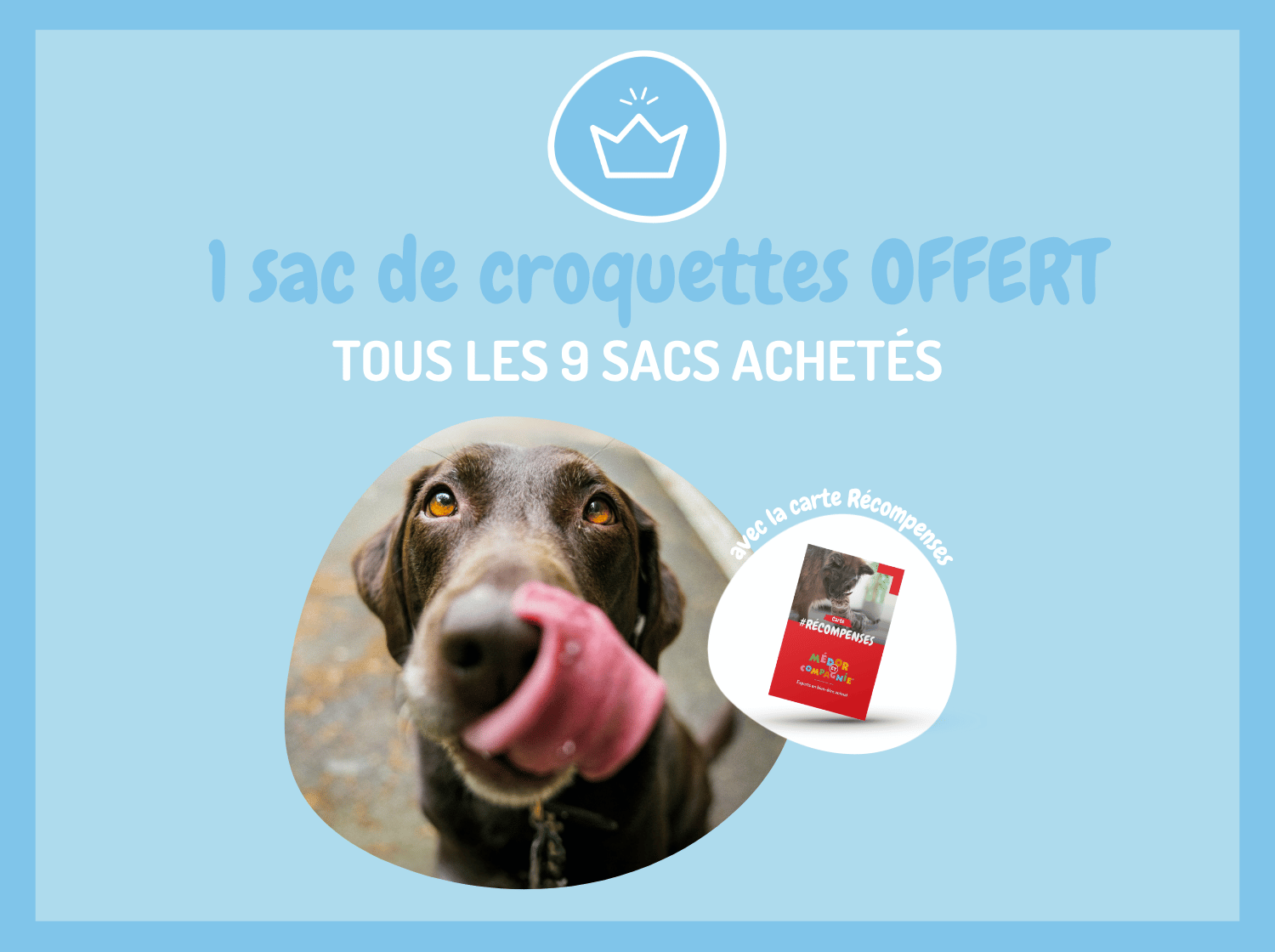 Chien qui se lèche les babines, mise en avant d'une offre 9+1 sur les croquettes