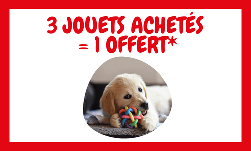 BONS PLANS_CHIEN_2025_12_OP JOUETS