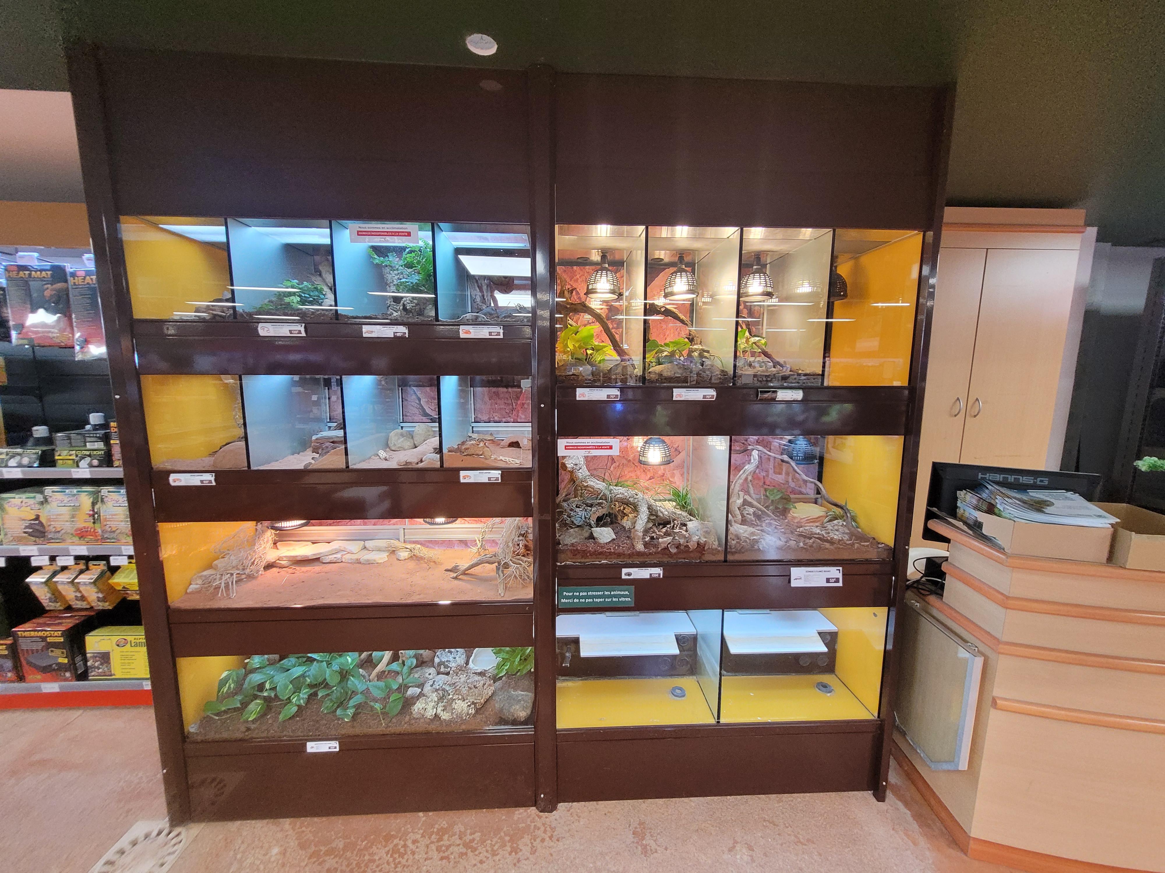 ALI - Magasin - Visuel 10