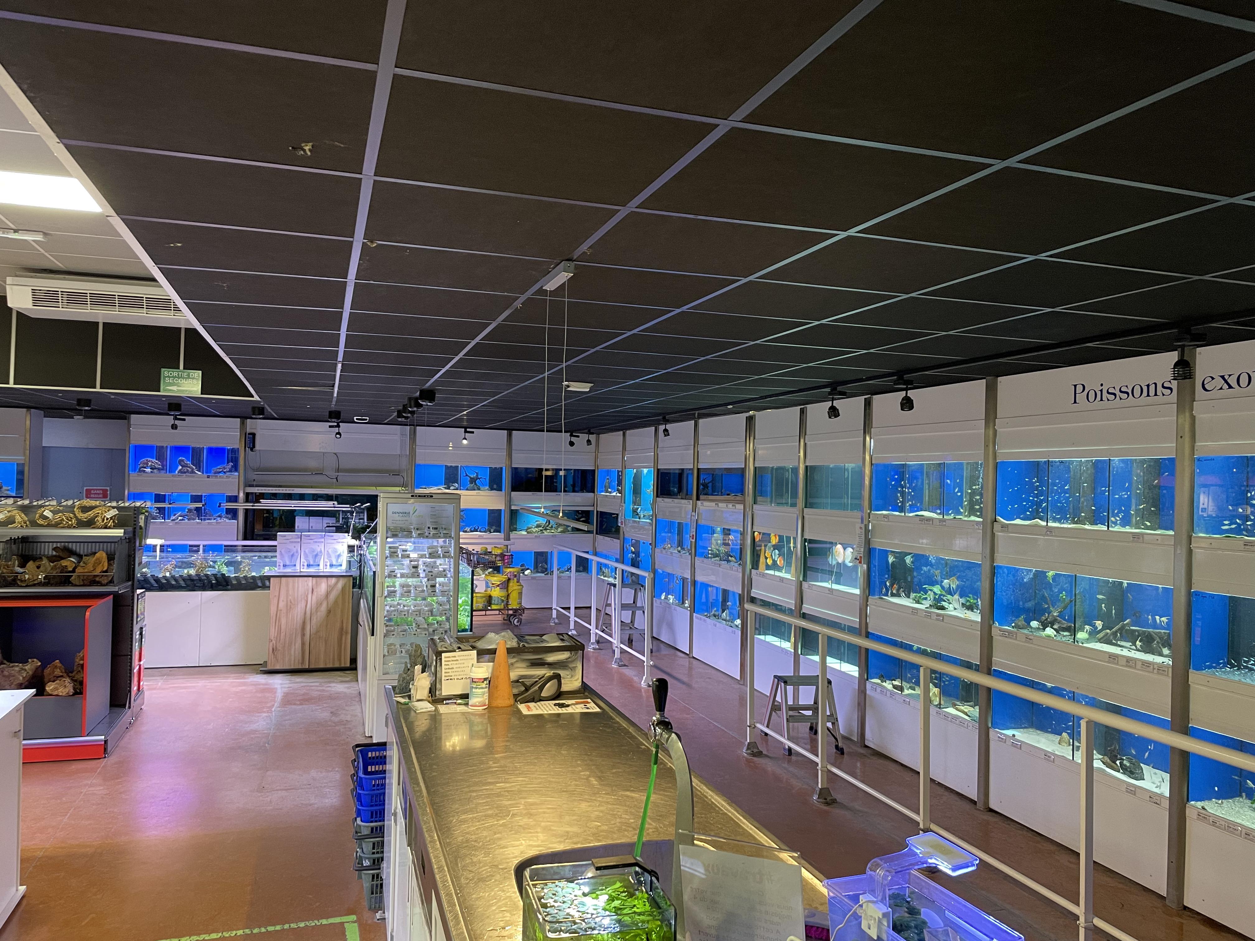 GRN - Magasin - Visuel 12