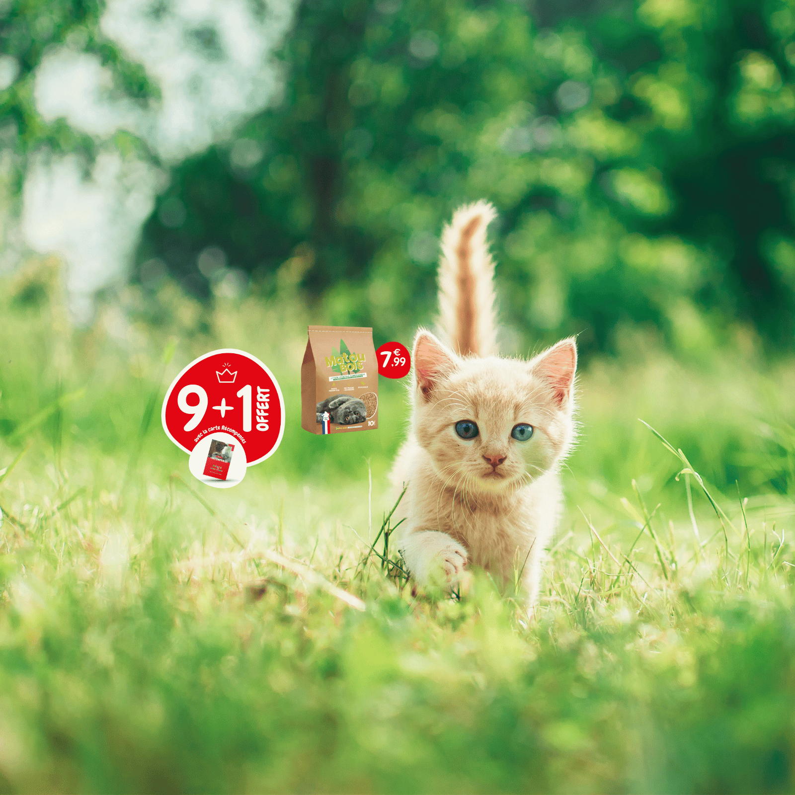 9+1_Matoubois_SLIDER