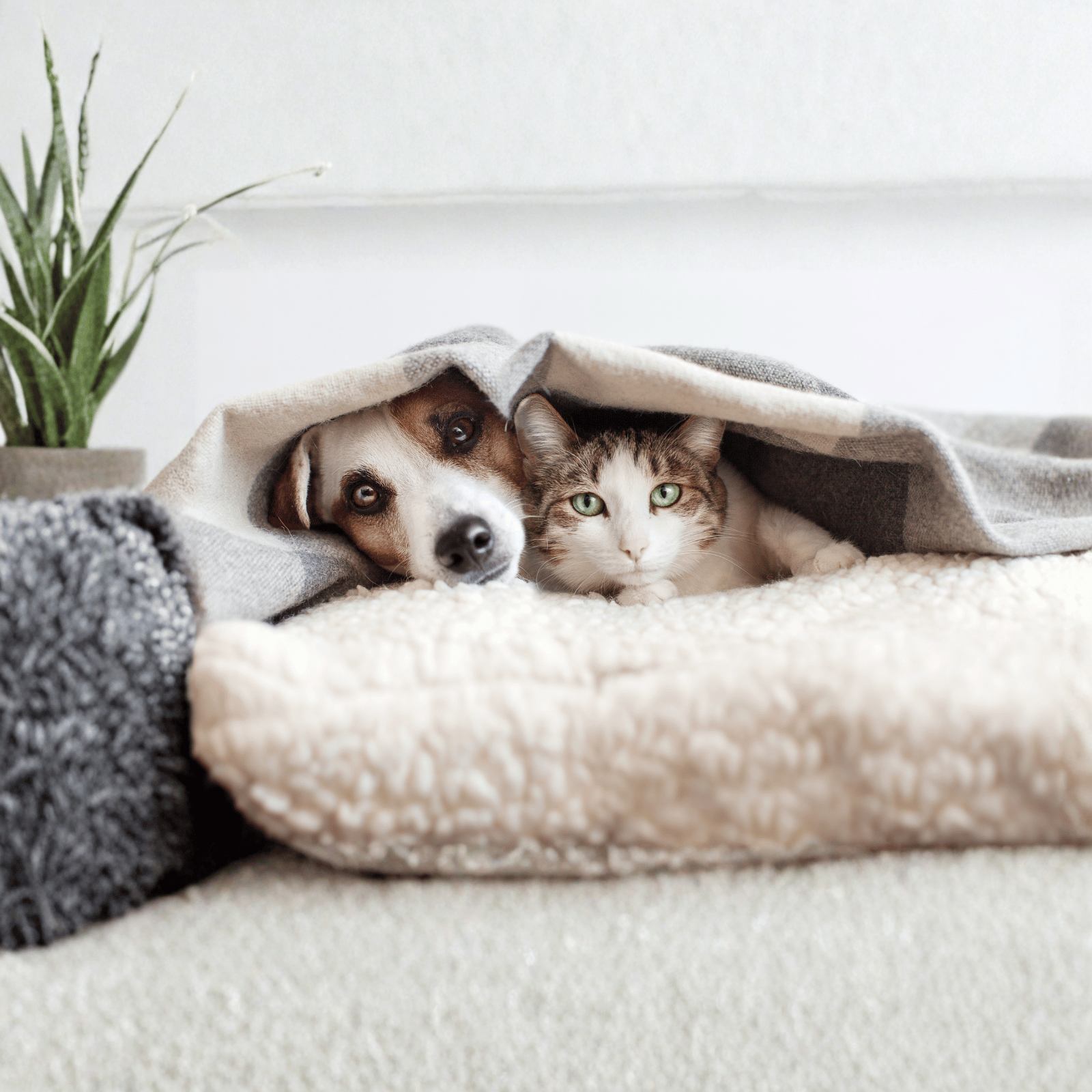 2026_01_SOLDES HIVER_SLIDER