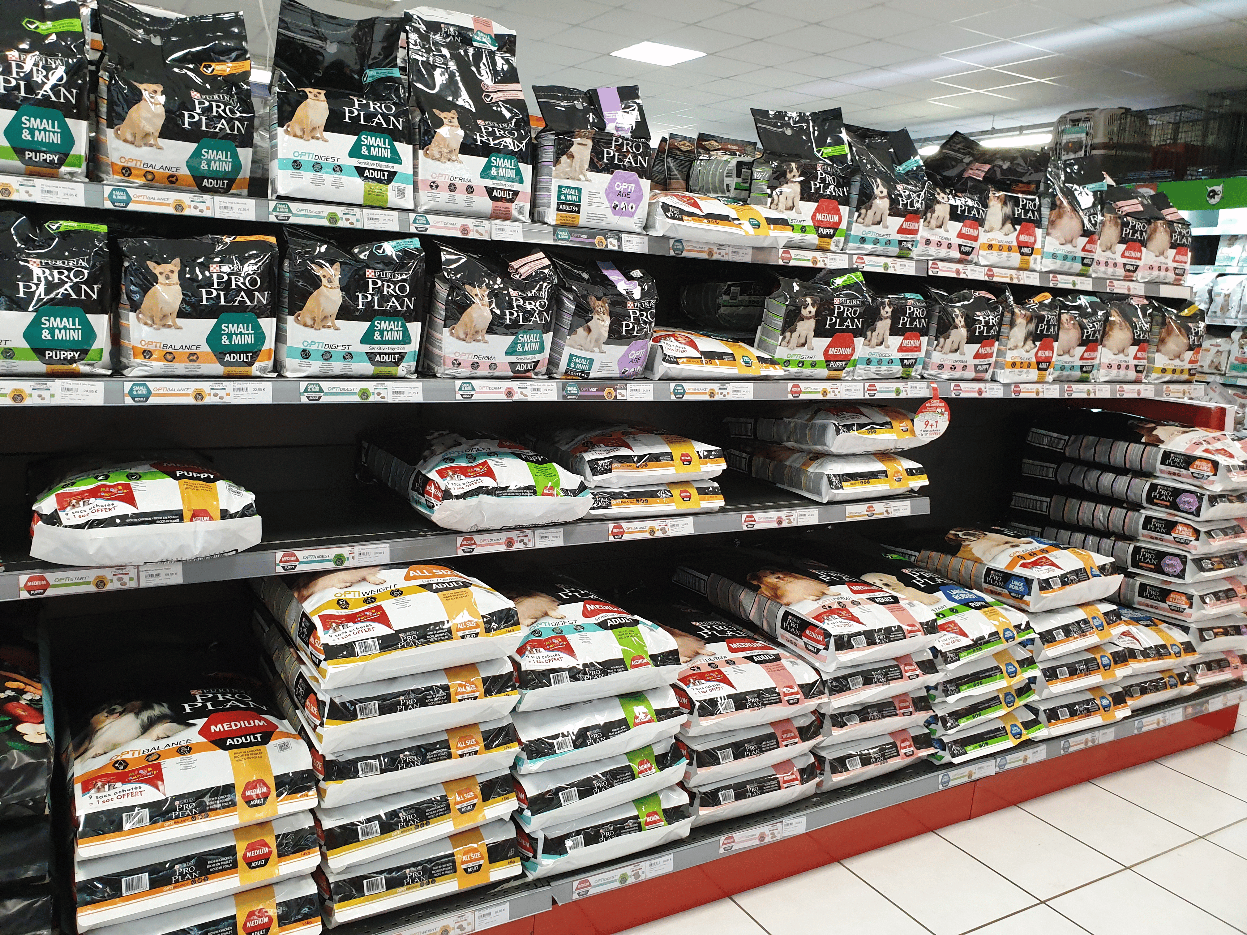 Magasin DEC - Image 7