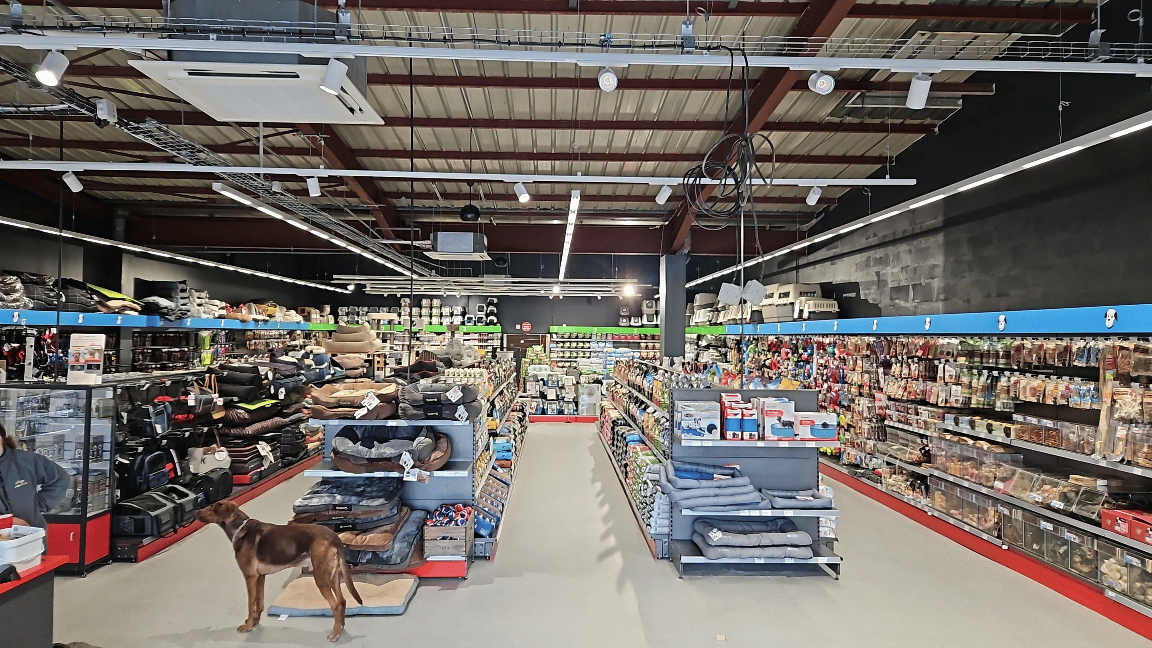 Magasin ETI - Image 9