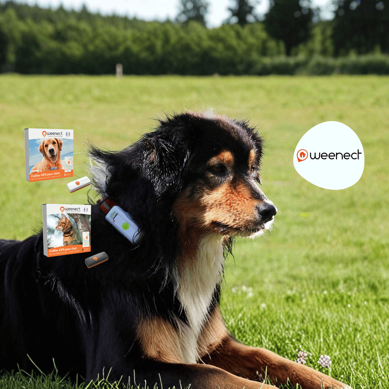 SLIDER - OP WEENECT 2026