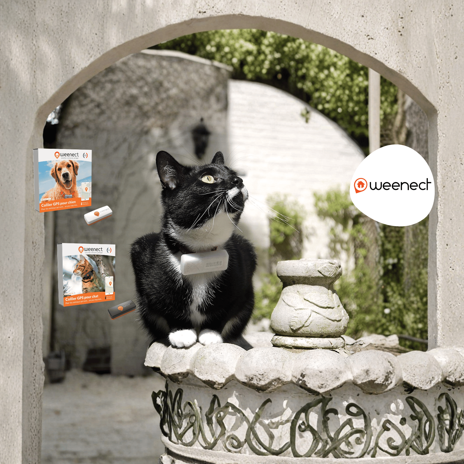 SLIDER - OP WEENECT 2026 V2