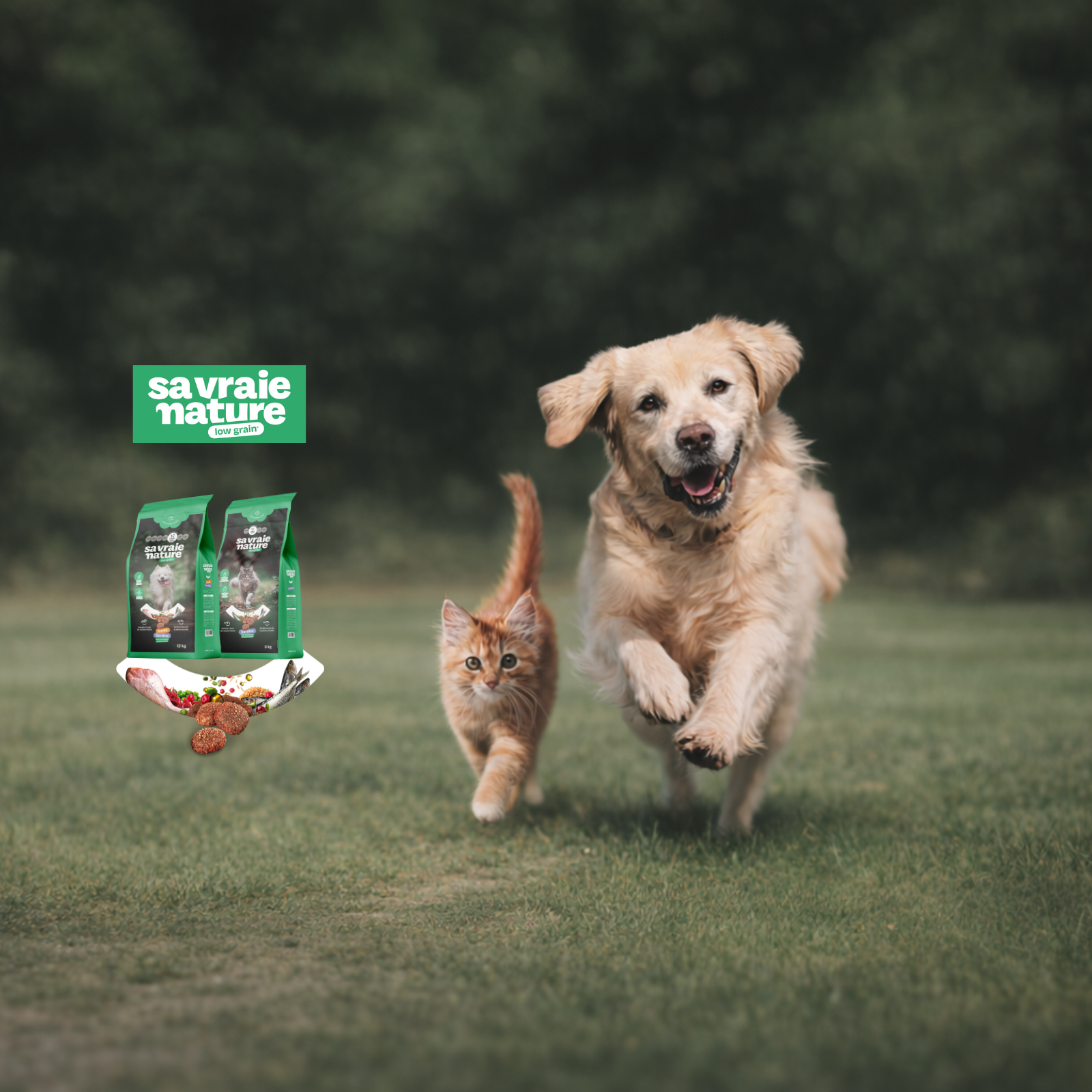 SNV mise en avant slider