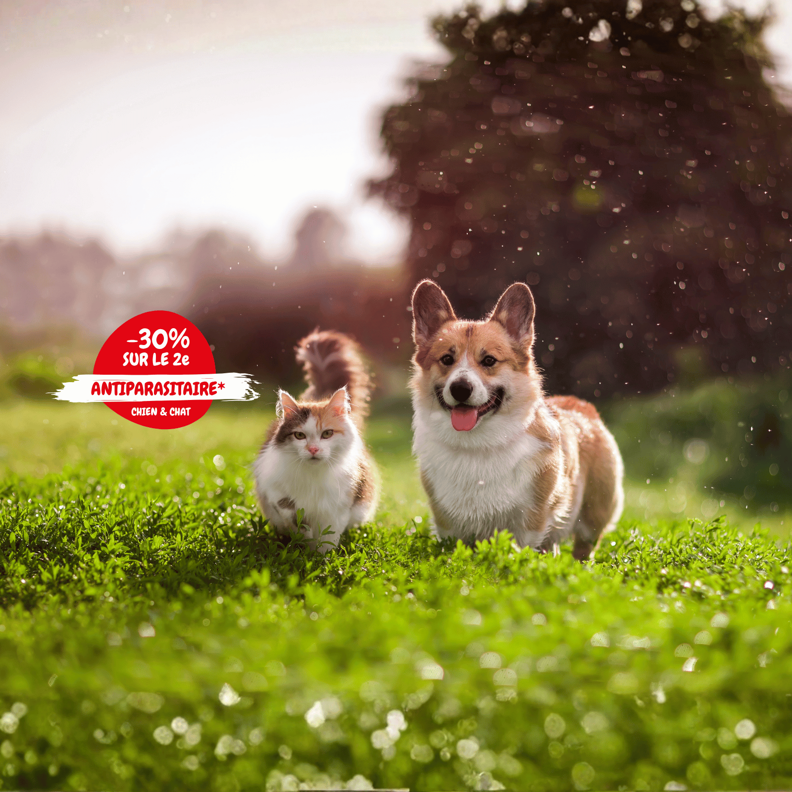 2026_04_OP ANTIPARA_SLIDER