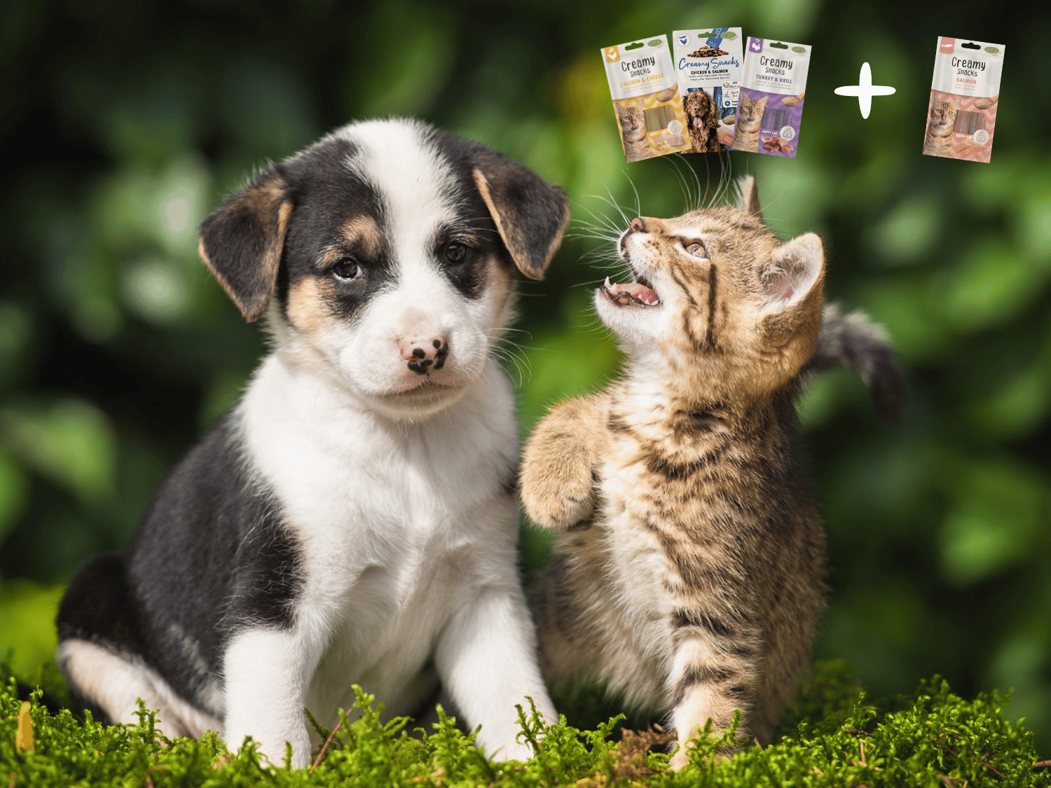 VISUELETTEXTE_OP FRIANDISES_26_04