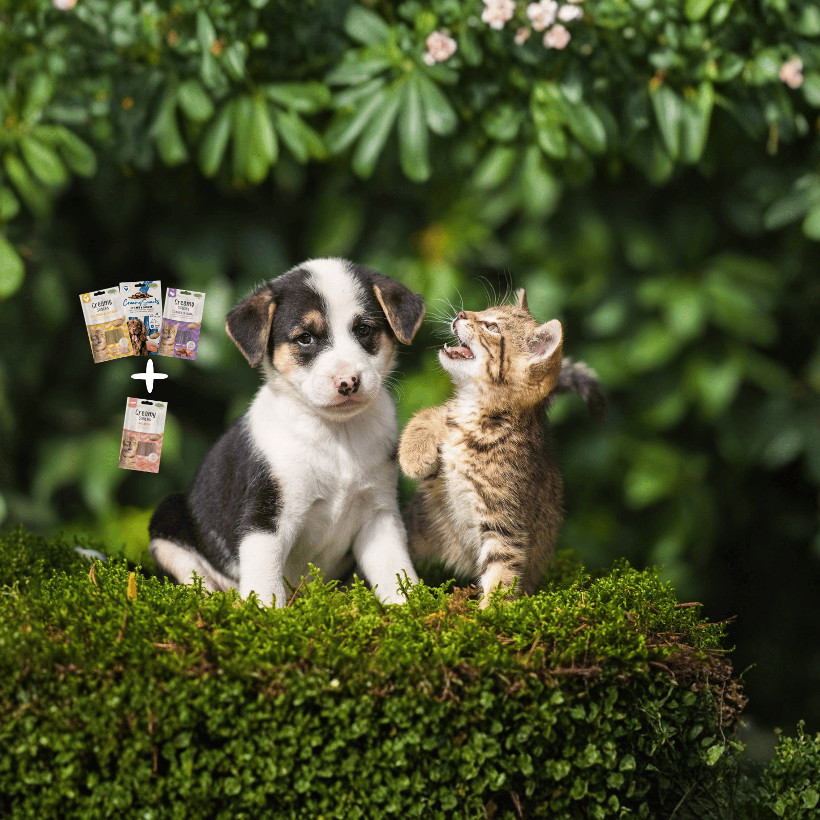 2026_04_OP FRIANDISES_SLIDER