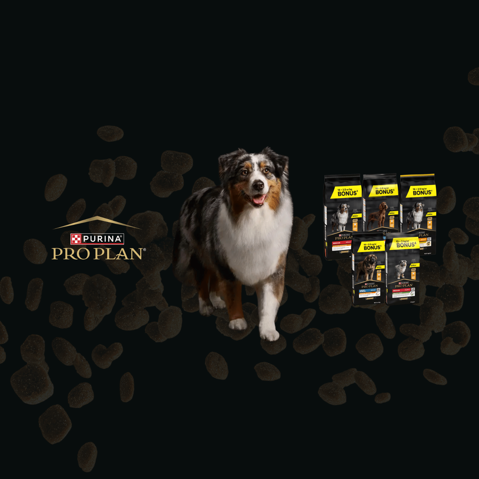 2026_05_OP PROPLAN_SLIDER