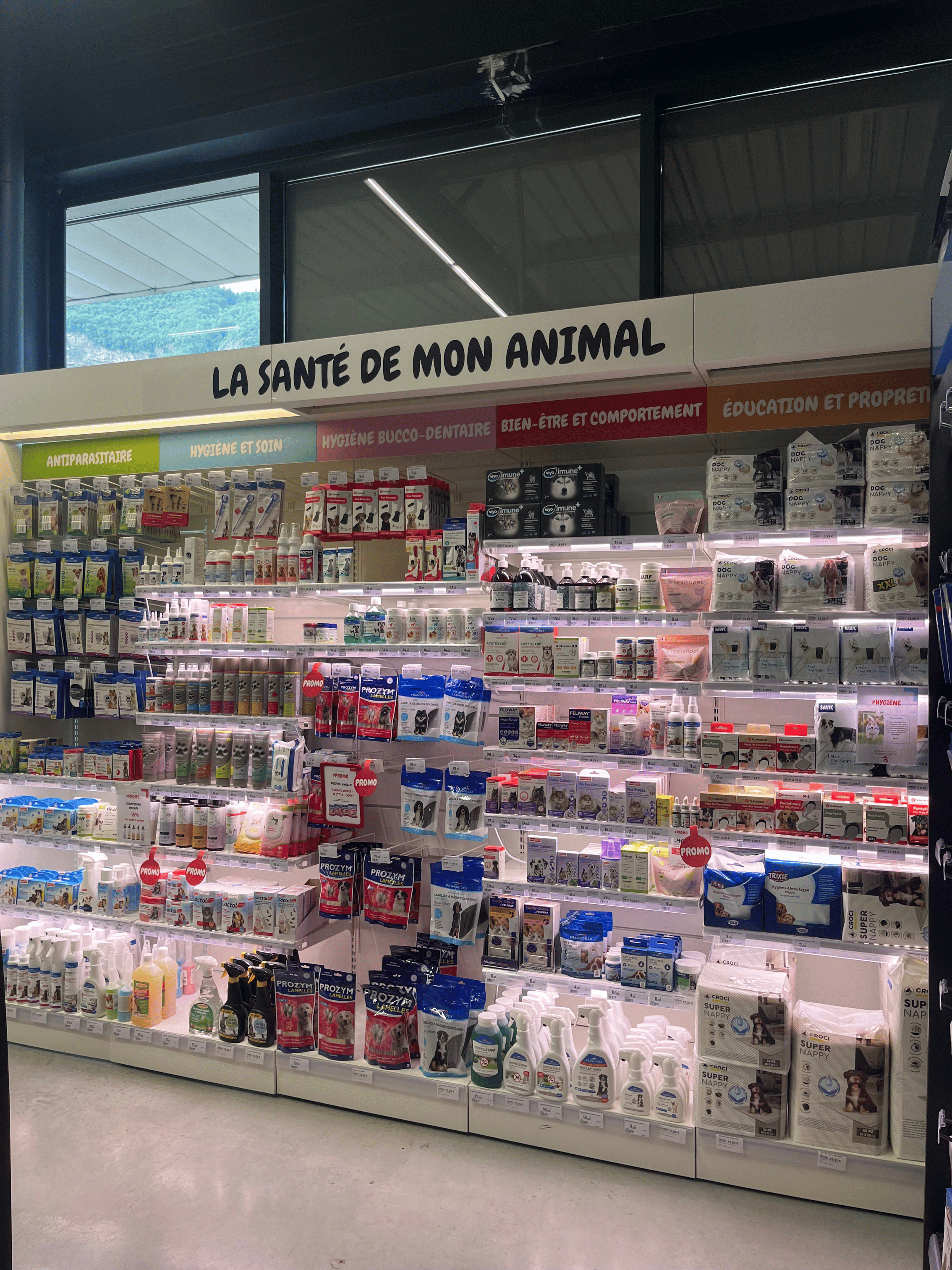 FVG_Image_7