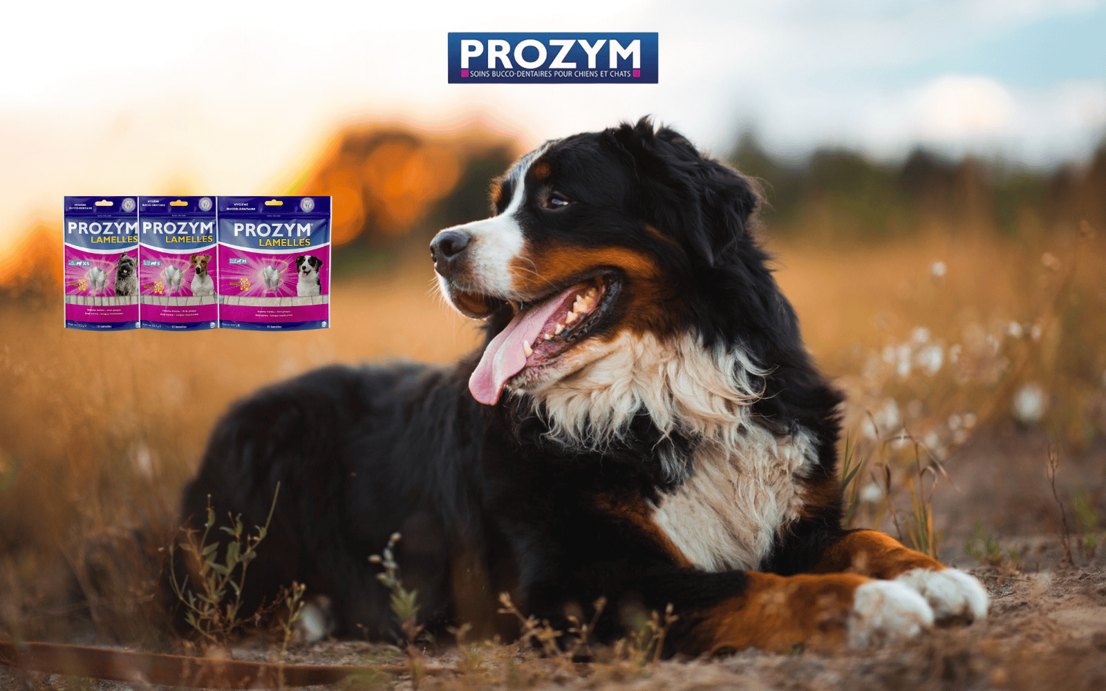 SLIDER_2026_10_OP PROZYM