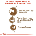 Visuel 2 sur 5