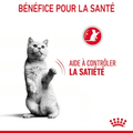 Visuel 3 sur 5