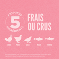 Visuel 4 sur 5