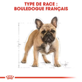 Visuel 4 sur 5