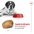 Visuel 4 sur 4