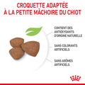 Visuel 3 sur 3