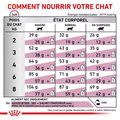Visuel 6 sur 6