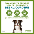 Visuel 6 sur 9