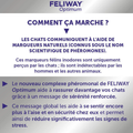 Visuel 6 sur 7