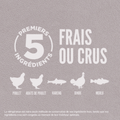 Visuel 4 sur 5