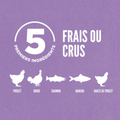 Visuel 4 sur 5