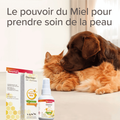 Visuel 5 sur 6