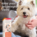 Visuel 5 sur 6