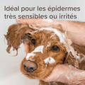 Visuel 3 sur 6