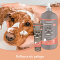 Visuel 4 sur 5