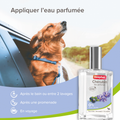Visuel 3 sur 5