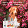 Visuel 4 sur 4