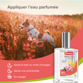 Visuel 3 sur 4