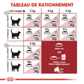 Visuel 5 sur 5