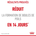 Visuel 3 sur 6