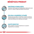 Visuel 5 sur 6
