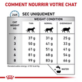 Visuel 6 sur 6