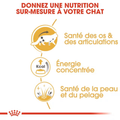 Visuel 4 sur 5