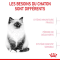 Visuel 4 sur 5
