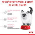 Visuel 5 sur 5