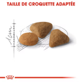 Visuel 3 sur 5
