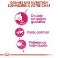 Visuel 4 sur 5