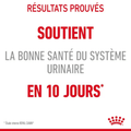 Visuel 4 sur 6