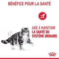 Visuel 5 sur 6
