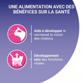 Visuel 5 sur 6