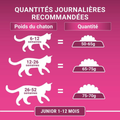 Visuel 6 sur 6
