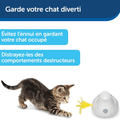Visuel 4 sur 8