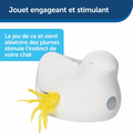 Visuel 5 sur 8